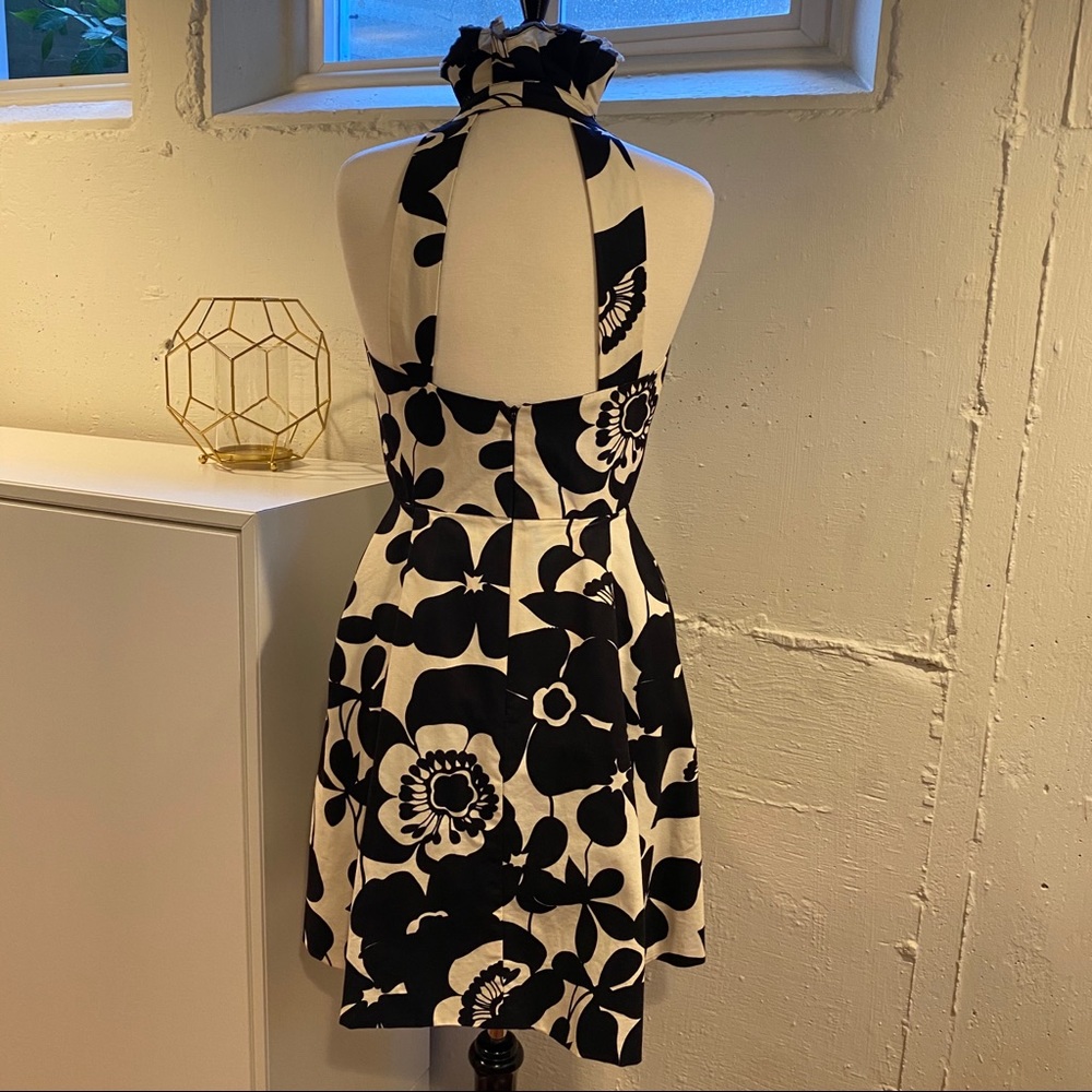 B&W Bold Jester Collar Dress